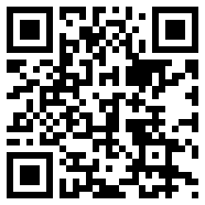 3.0.3vivo版
