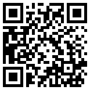 空中决战
