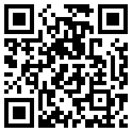 vapp网页版