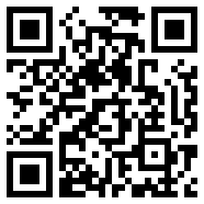 美国警官汽车追逐