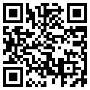 主题app